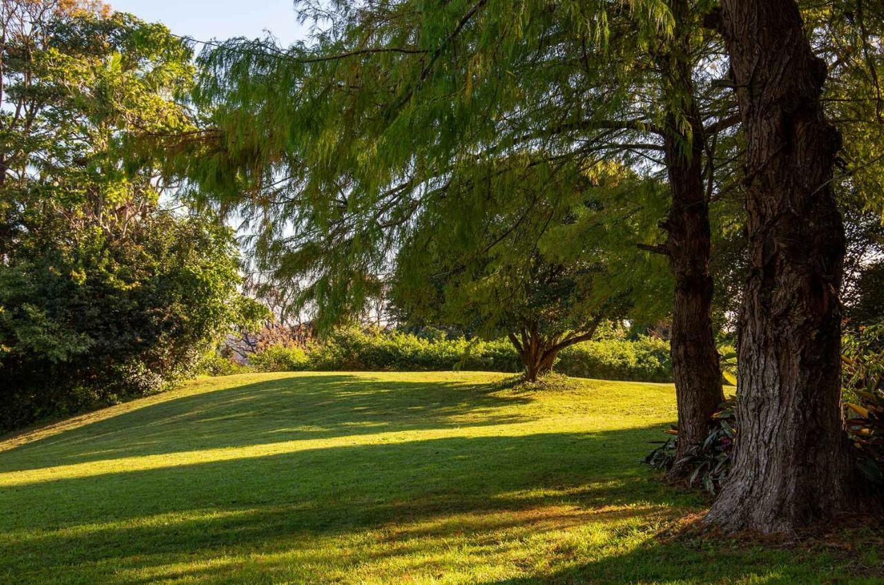 Montville Misty View Cottages Εξωτερικό φωτογραφία